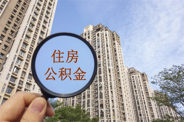 沧县怎么取住房住房公积金（取住房公积金方法）